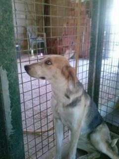 Caso 05 Caso 05