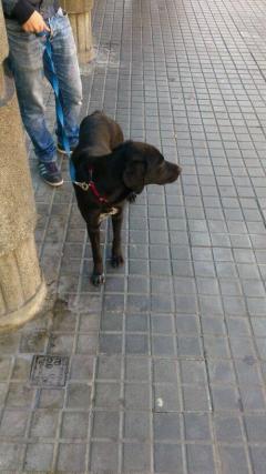 BLACKY BLACKY