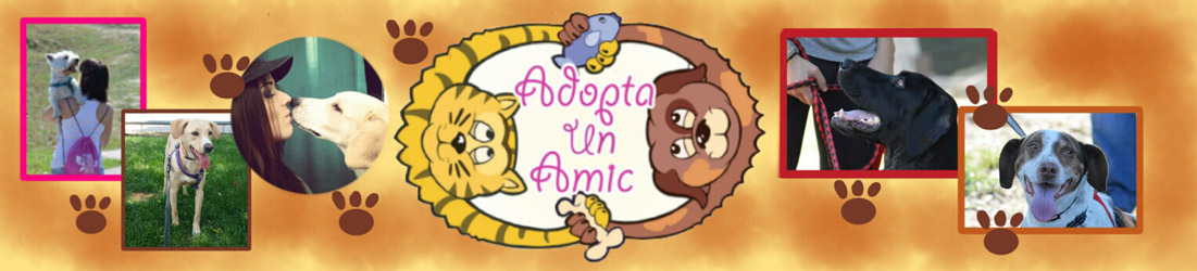 Adopta un Amic
