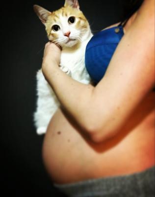 Mitos y leyendas sobre la toxoplasmosis y las embarazadas