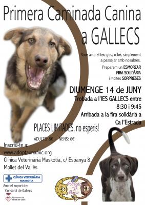 PRIMERA CAMINADA CANINA