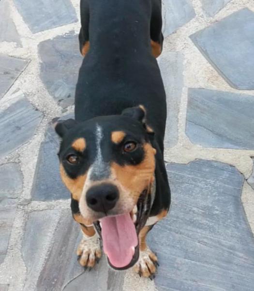 LUNA
